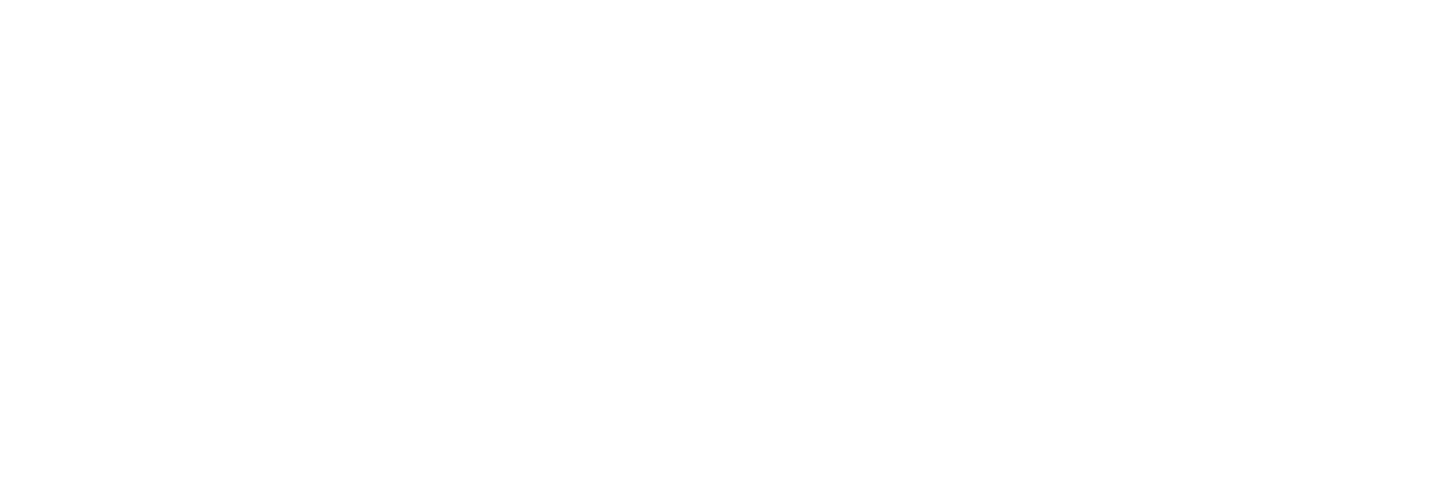 Fira Web Logo